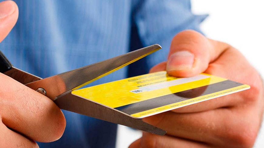 13nov credit cards cut up