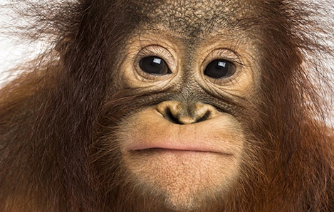 Opinion: One from the heart - Our full report - Promo