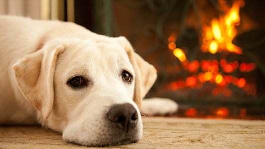 Winter heating guide promo