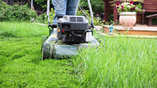 Image of a lawnmower