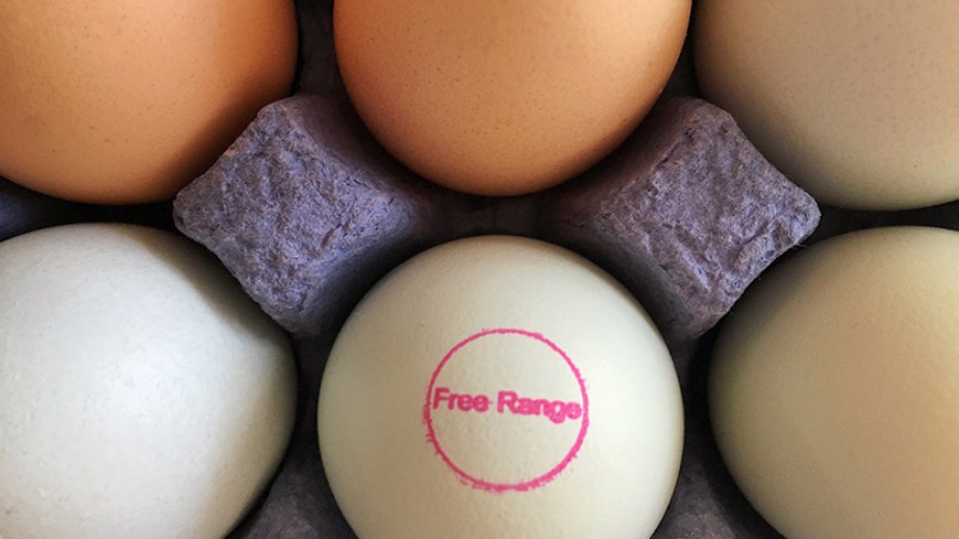 16jun free range eggs stamp med