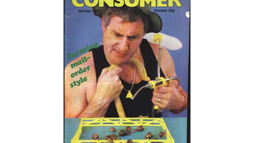 19may consumer in the 80s 232 october 1985