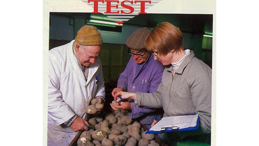 19may consumer in the 80s 277 november 1989 smashed potatos