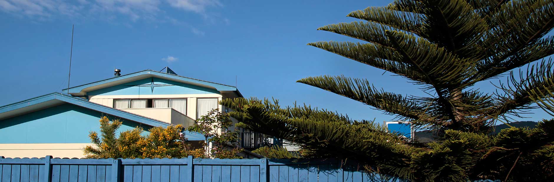 fenced home with tree
