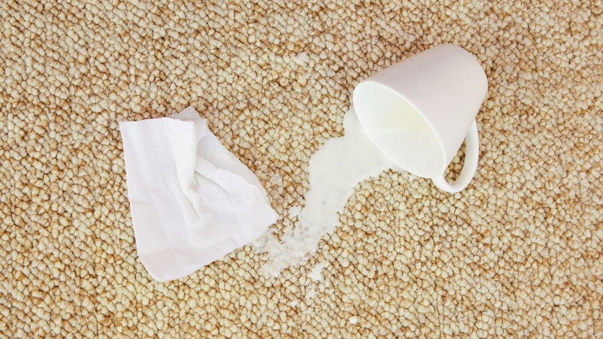 Website promo image 1290 x 860 45 width