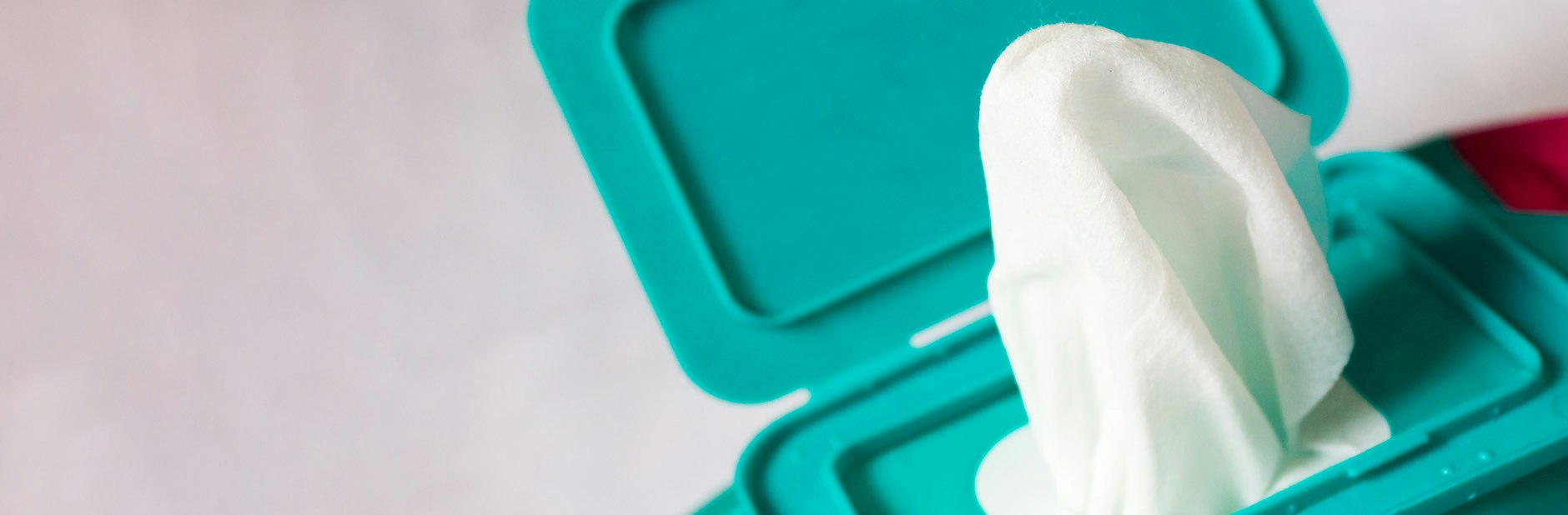 Flushable wipe dispenser
