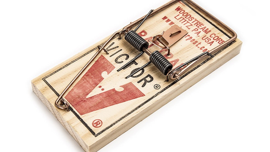 18jul rodent traps snap trap