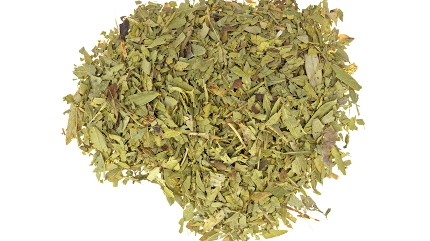 20jan the truth about diet teas senna leaf