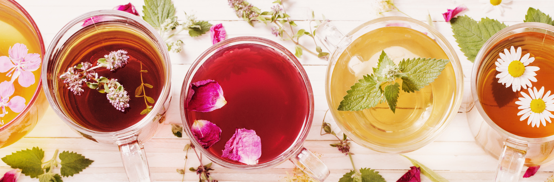 Row of herbal teas containing flowers.
