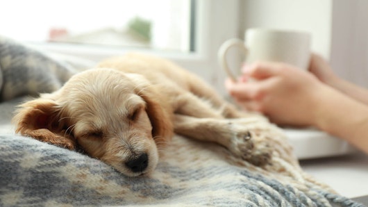 Preparing for winter promo