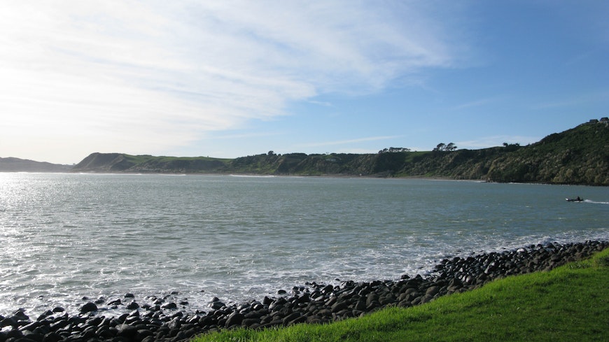 Raglan view from manu bay