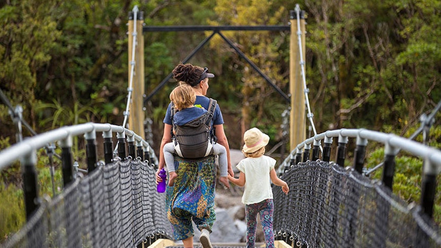 Mental health insurance body3