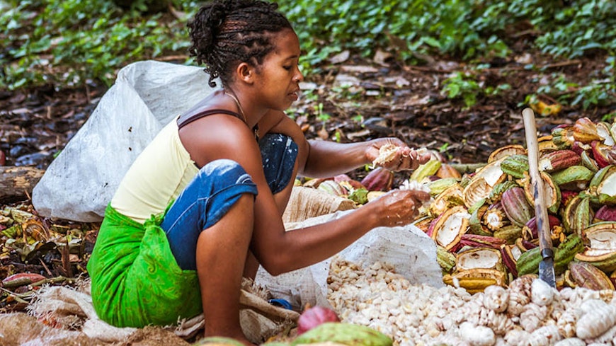 20nov ethical cocoa husk