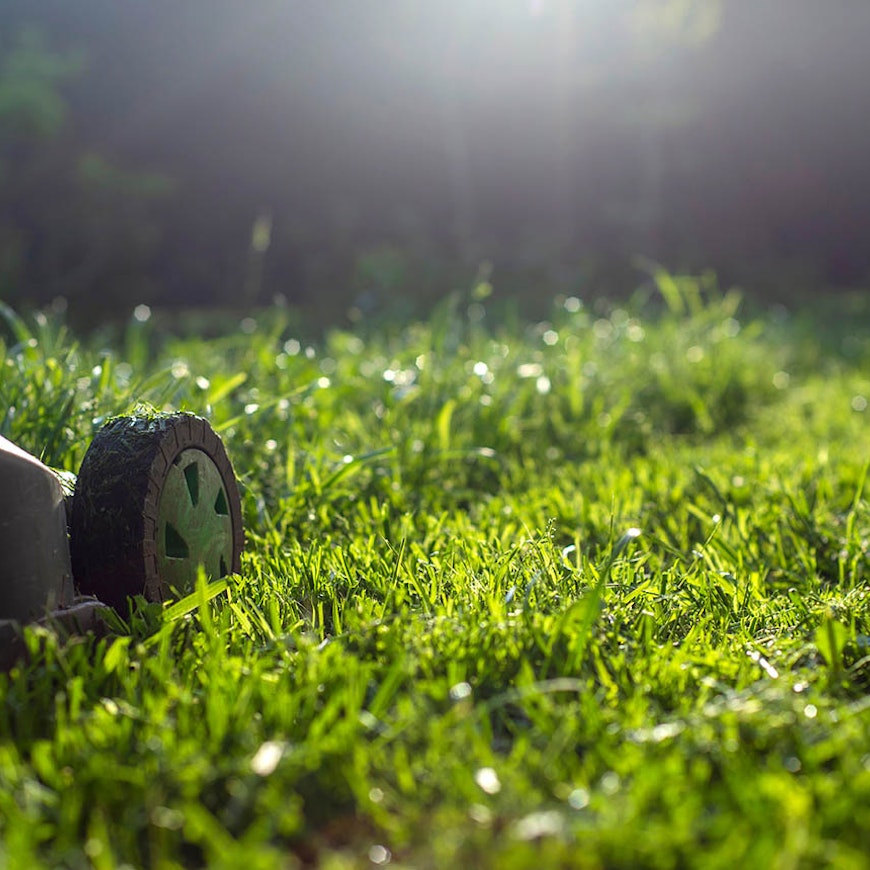 Your wins lawnmower promo