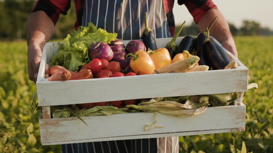 Oragnice produce width