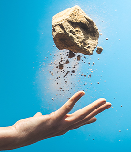 Rock pet worst gifts