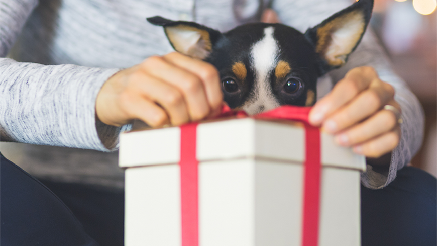 Best worst xmas gifts width