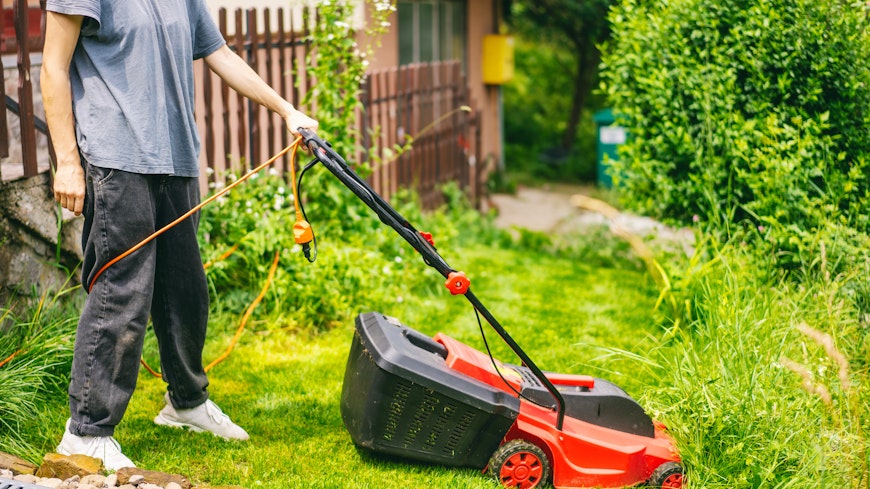 Adobestock 616762698 width