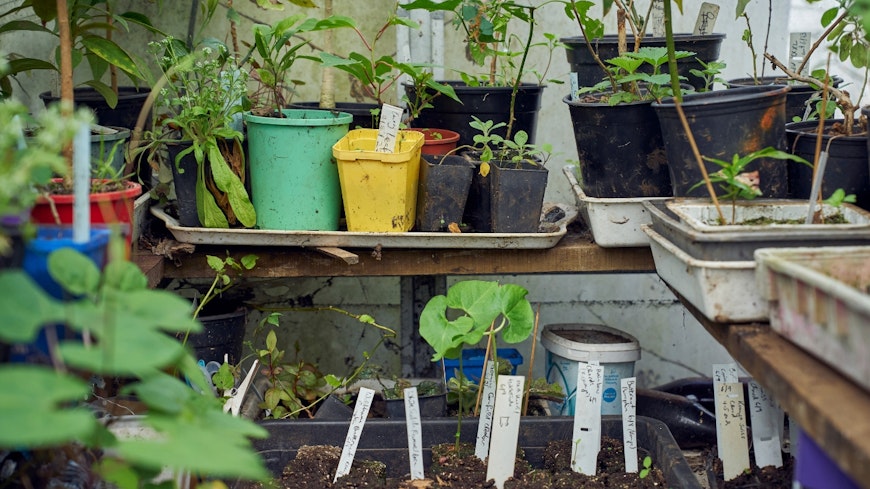 Website promo image 1290 x 860 37