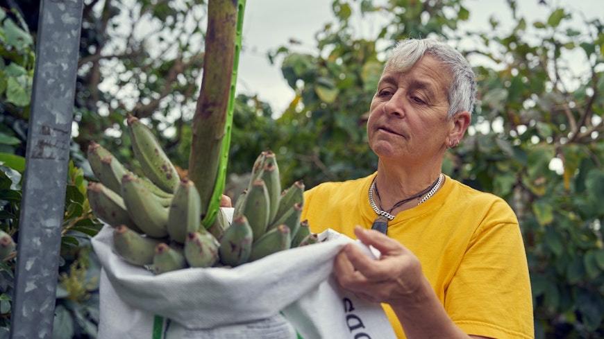 Website promo image 1290 x 860 34 width