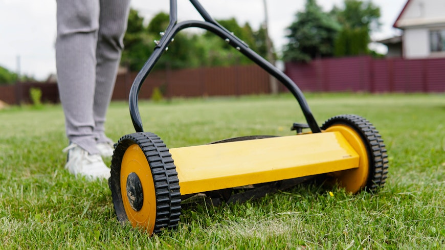 Adobestock 607429333 width