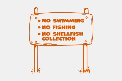 Medium image 416x276