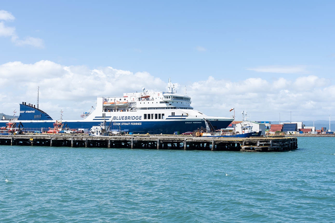 Bluebridge news promo