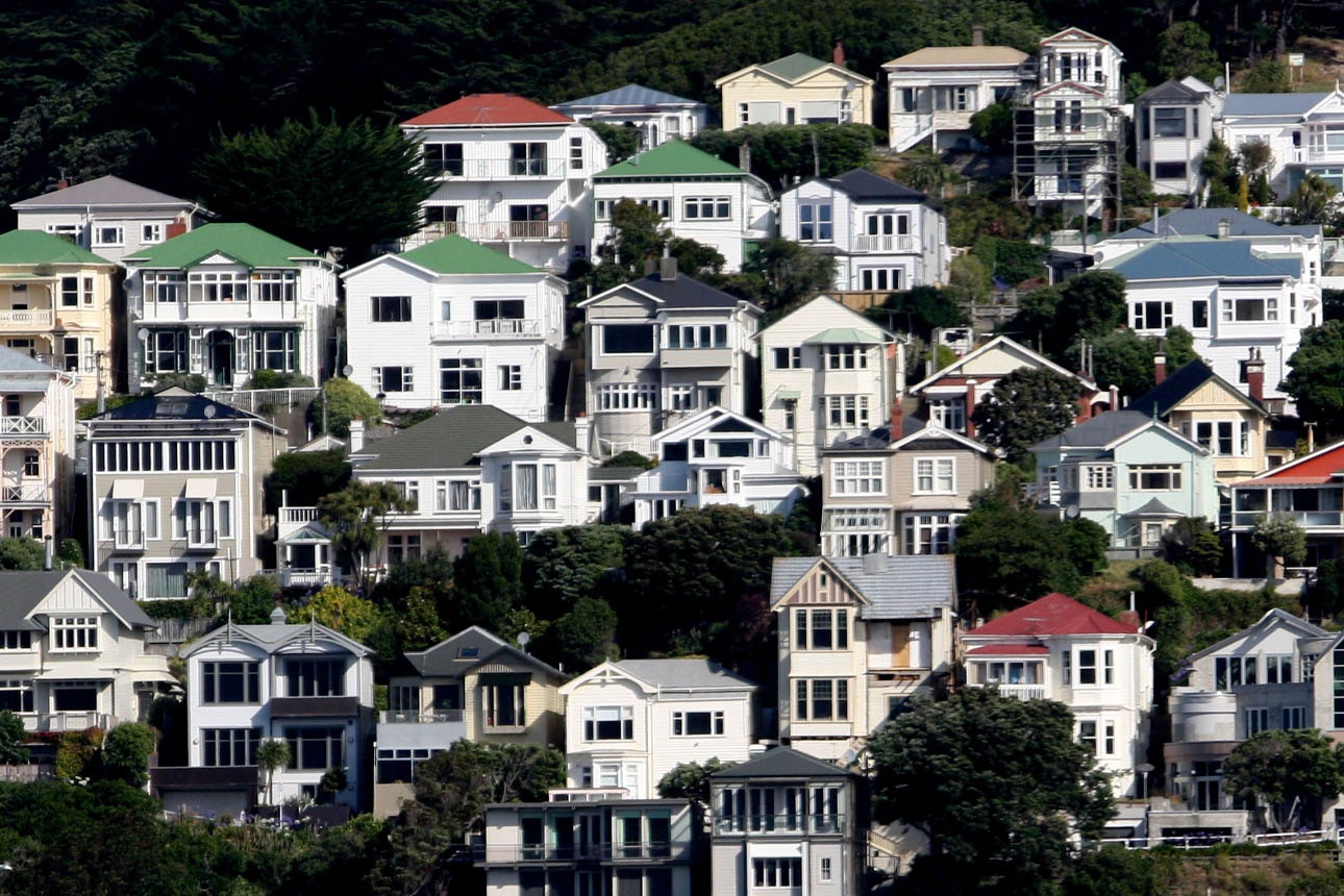 Image of New Zealand flats