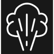 Image of a steam icon