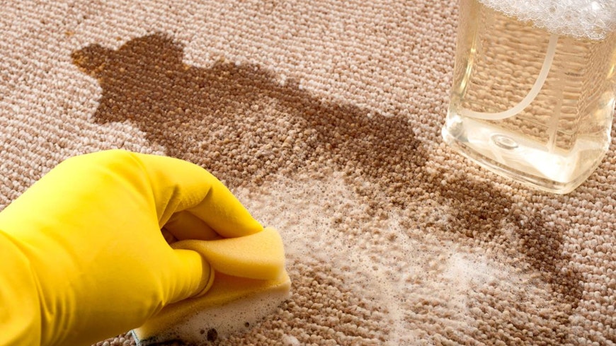 Image of person cleaning stain off carpet