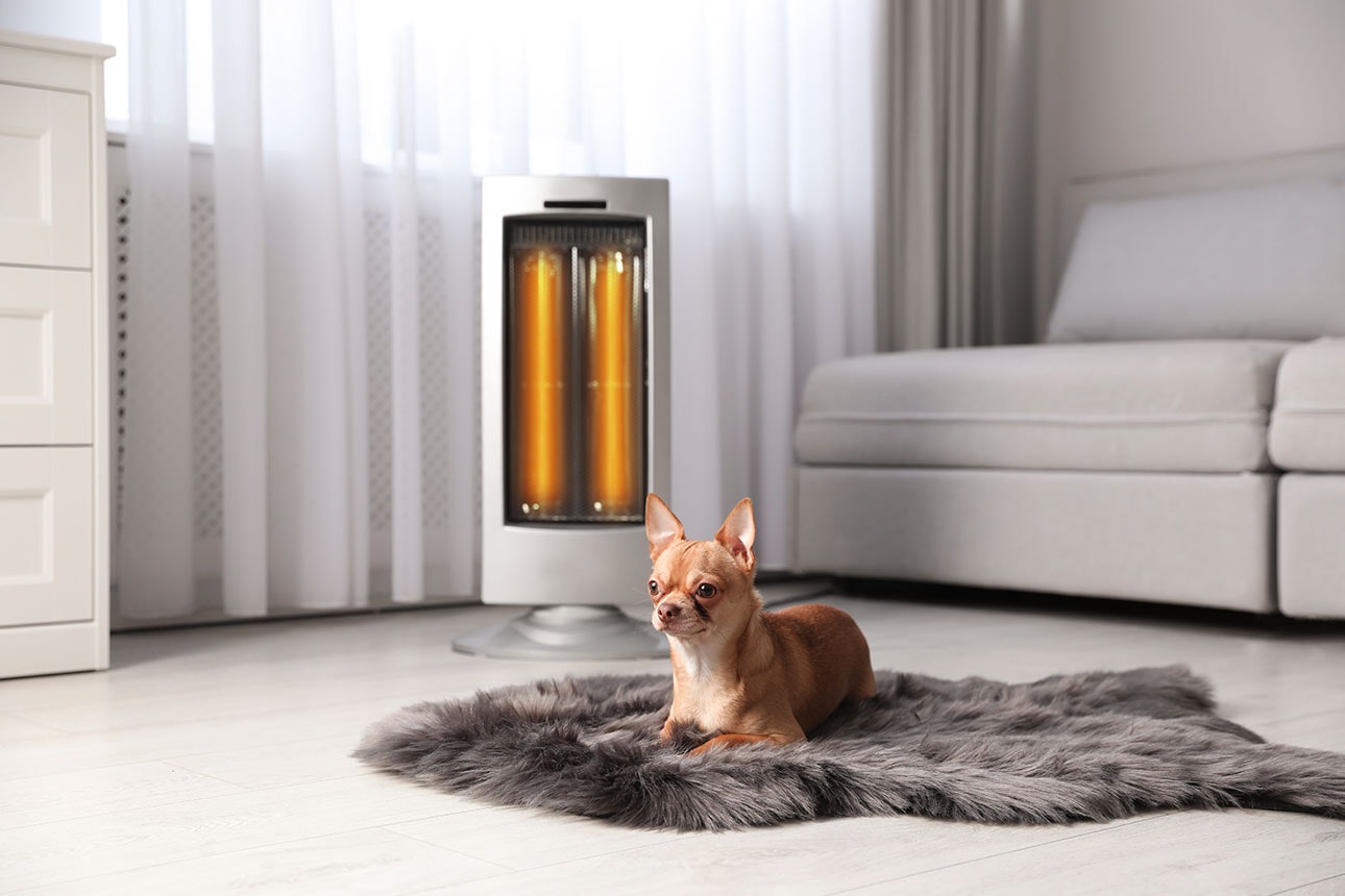 Image of a small dog next to an electric heater.