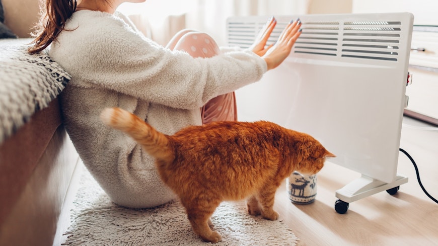 Woman and cat warming up in front of electric heater