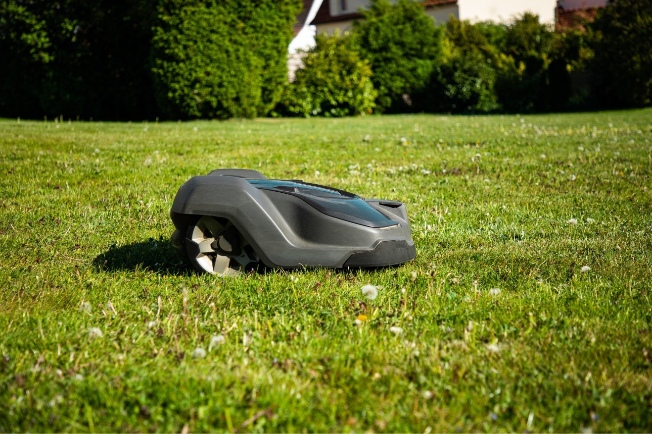 Robot lawn mower on grass.