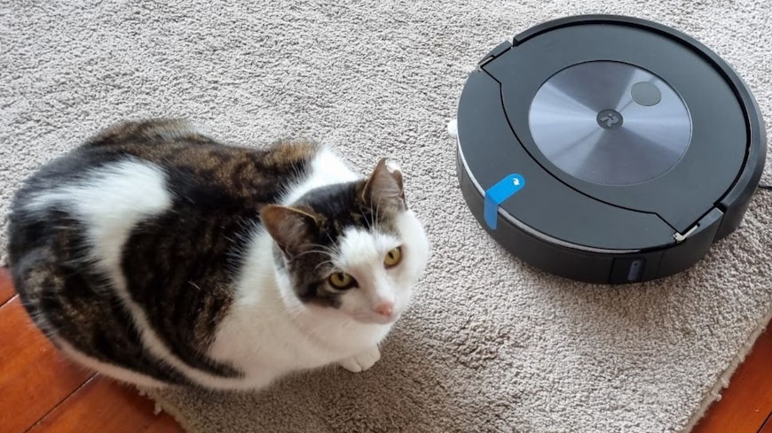 Image of a cat next to the robot vacuum