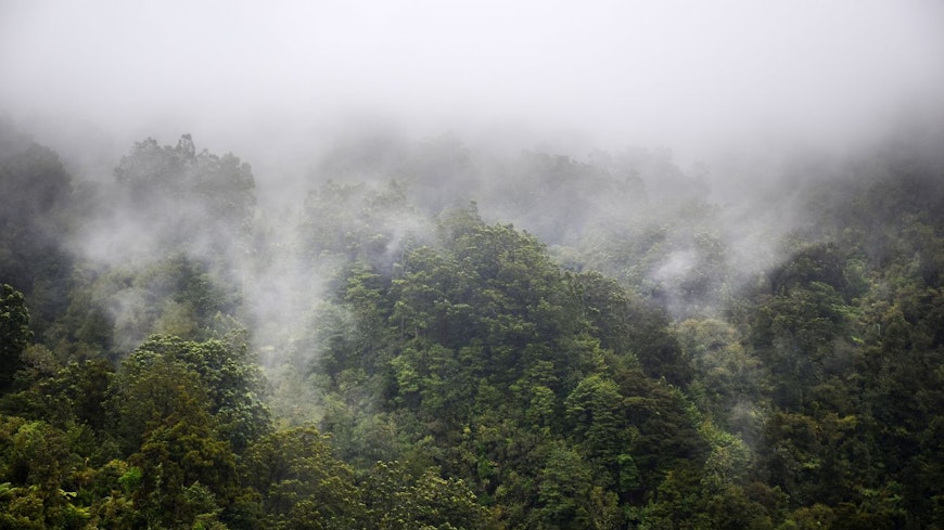 Image of clouds among trees