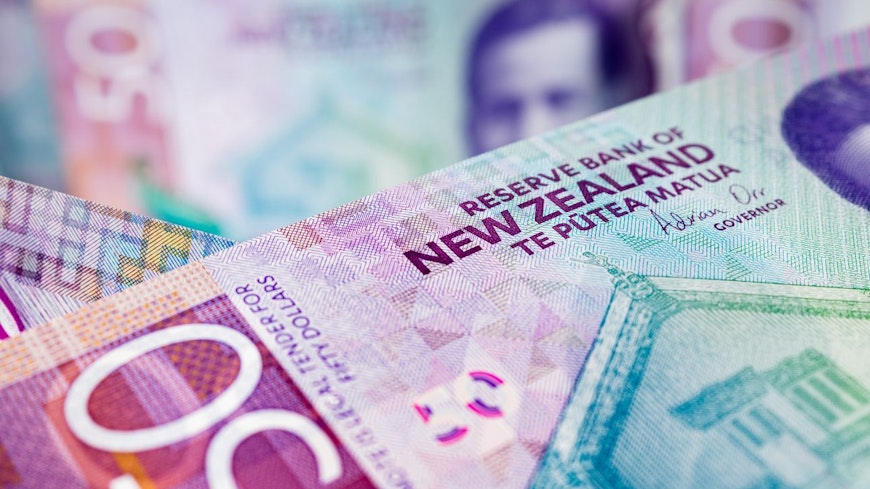 Image of 50 dollar notes