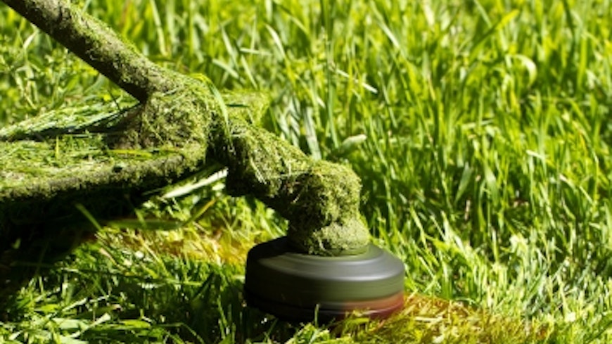 Line trimmer.