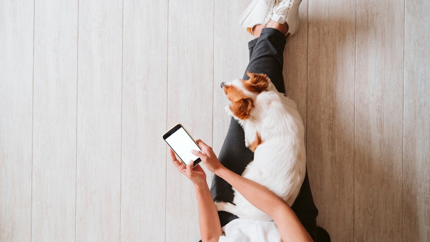 Person using phone while dog lays on their lap.